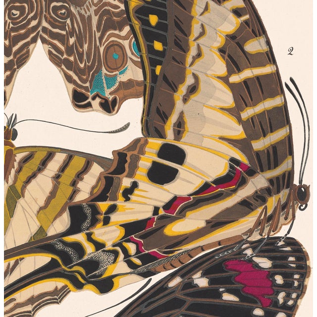 Contemporary Papillons (Butterflies) Plate 5 Giclee Reproducion Art Print by Emile Allian Séguy For Sale - Image 3 of 4