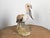 Midcentury Painted Concrete Pelican Sculpture on Base with Distressed Patina For Sale - Image 9 of 12