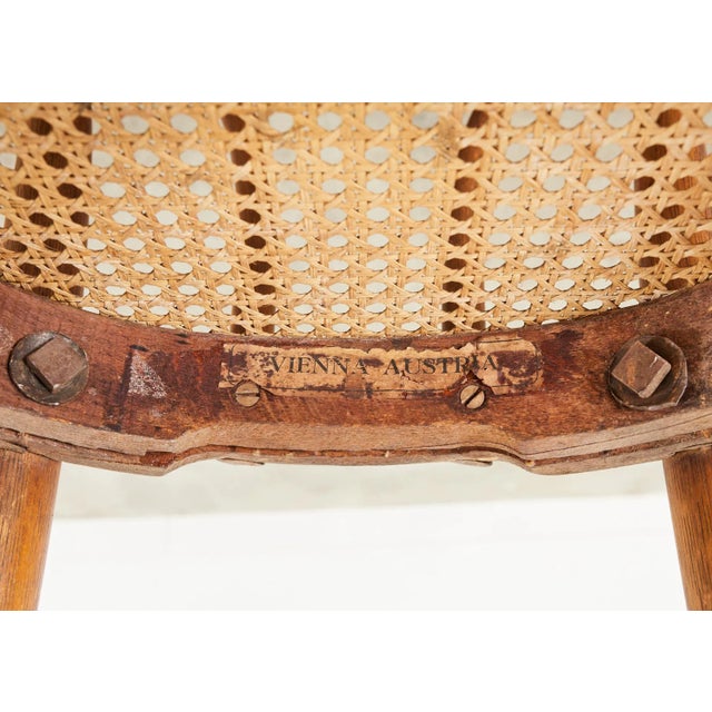 Camel Set of Ten 19th Century J and J Kohn Bentwood Cane Armchairs For Sale - Image 8 of 12