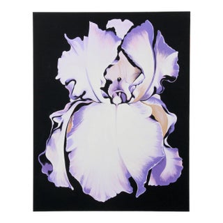 Lowell Nesbitt, "White Iris on Black", Photorealist Flower Print For Sale