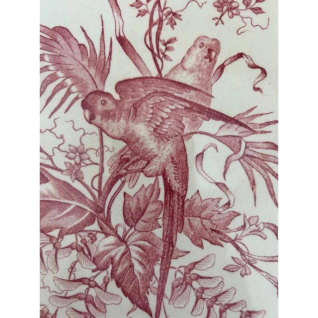 Model Congo Dish from Longchamp, 1950s For Sale - Image 4 of 8