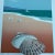 1980’s Two Original Contemporary Beach Seashell Lithograph by Jung Park “Shell I&ii” Set of Two For Sale In Philadelphia - Image 6 of 7