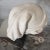 Sculpture Materials Fisherboy Sculpture Affter 1857 Carpeaux "The Laughing Neopolitan" For Sale - Image 7 of 11