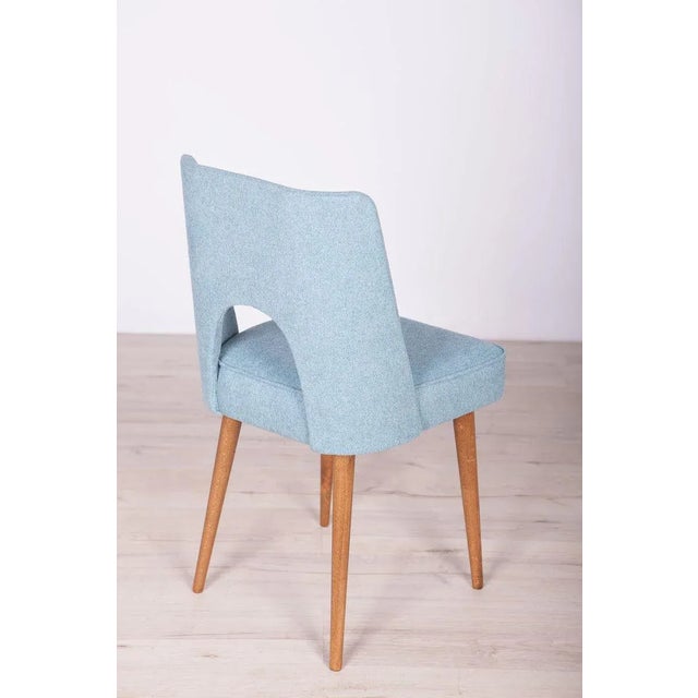 Wood Polish Shell Chairs from Bydgoszcz Furniture Factory, 1960s, Set of 6 For Sale - Image 7 of 17