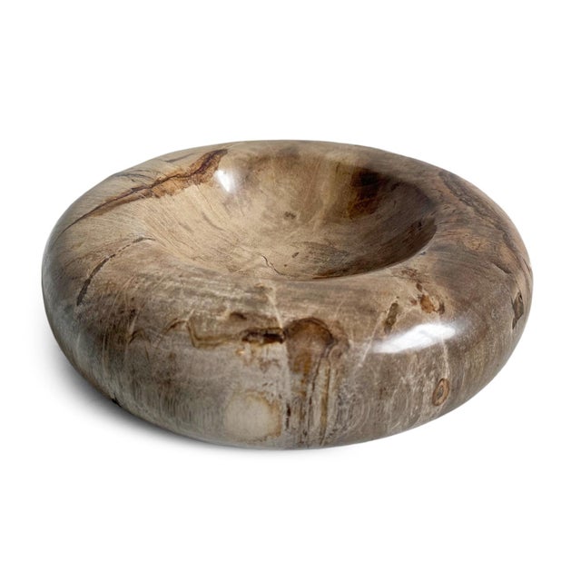 Early 21st Century Petrified Wood Organic Modern Vintage Decorative Bowl For Sale - Image 5 of 6