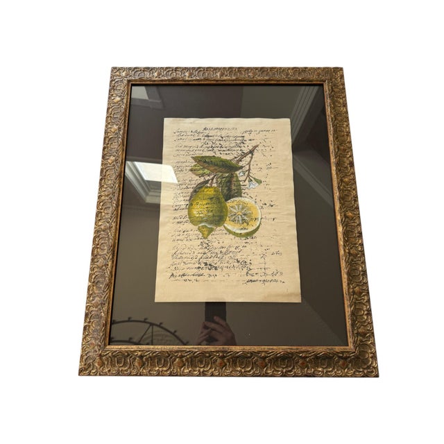 Rustic European Set of 3 Chelsea House Botanical Prints For Sale - Image 3 of 12