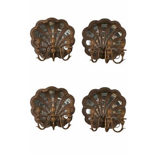 Wood Shell and Mirror Wall Sconces - Set of Four For Sale