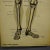 Antique Human Skeleton Anatomical Wall Chart For Sale - Image 4 of 6