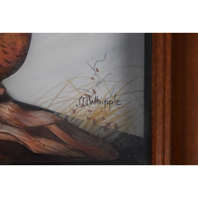 Traditional Abercrombie & Fitch X Joseph Q. Whipple Hand Painted Pheasant Shadowbox For Sale - Image 3 of 4