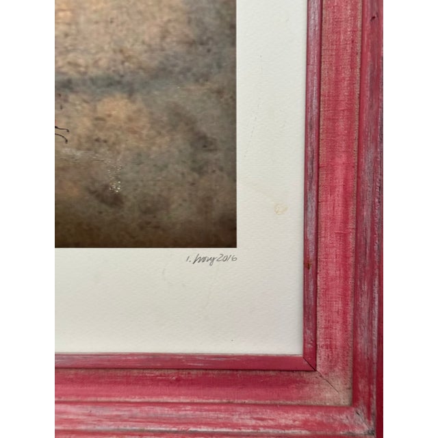 Raspberry Pink 2016 Jennifer Ivory 'Air Papillion' Print With Butterfiles & Hurcules Beetle Motif - Framed For Sale - Image 8 of 15
