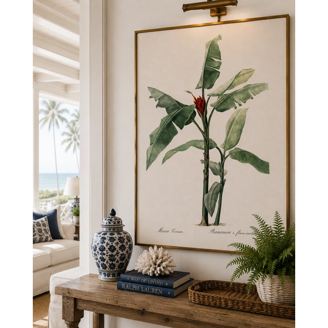 Scarlet Banana Illustration, Vintage Botanical Art Print Reproduction, 16" X 24" For Sale - Image 4 of 10
