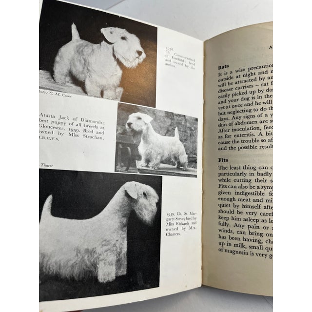 1920s 1922 Cairn and Sealyham Terriers Books Set/2 For Sale - Image 5 of 11