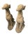 Neoclassical Pair of Mid-Century Neoclassical Style Cast Stone Seated Greyhound Statues For Sale - Image 3 of 10