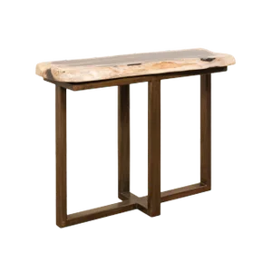 Organic Modern Polished Petrified Wood Console Table