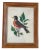 Rustic Vintage Cross-Stitched Embroidered Framed Songbirds. Set of Four. For Sale - Image 3 of 8