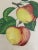 Zoltan Lucas, Fruits, 1910s, Lithographs, Set of 2 For Sale - Image 4 of 12