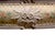 Yellow Vintage Niccolini Italia Rococo Floral Carved & Custom Painted Armoire C1940, Attributed For Sale - Image 8 of 15