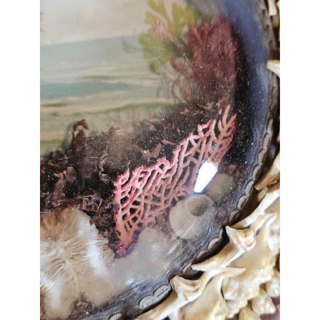 Edwardian Shellwork Valentine Diorama of a Ship | Chairish