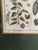 W. King Ambler Antique Botanical Engravings, Set of Three For Sale In San Francisco - Image 6 of 12