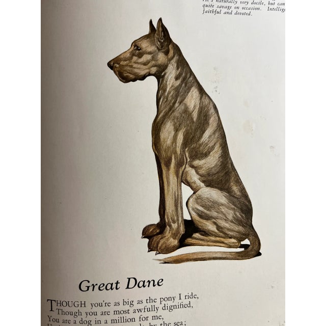 1927 Dogs by Julius King Book For Sale - Image 12 of 13