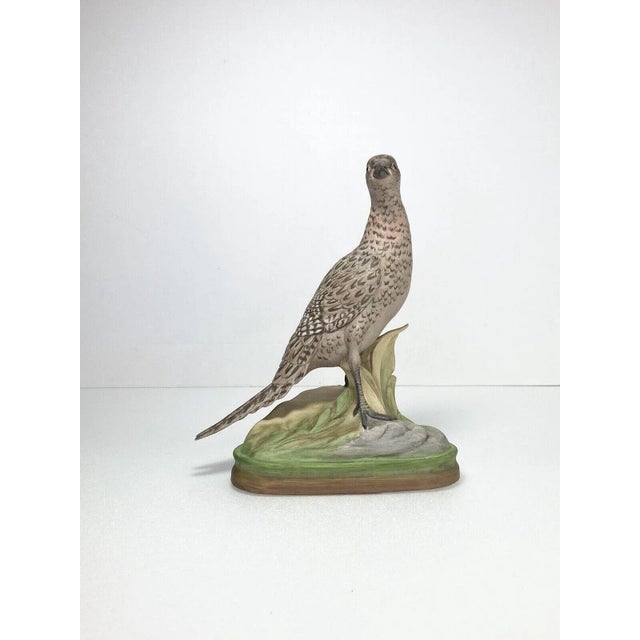 1950s Pair of 1950s Boehm Male & Female Ring-Necked Pheasant Porcelain Birds - Set of 2 For Sale - Image 5 of 8