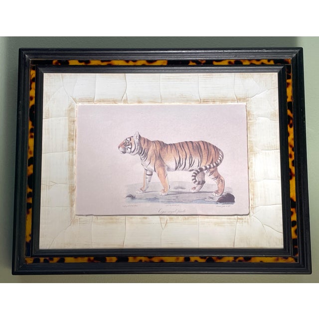 John-Richard Framed Nature Prints of a Tiger & Wildcat Pair Faux Tortoiseshell Wood 16x12.5 For Sale - Image 11 of 15