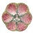 Majolica Seaweeds Oyster Plate Keller & Guerin Saint Clement, Circa 1890 For Sale