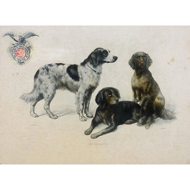Antique Dog Advertising Card For Sale - Image 4 of 4