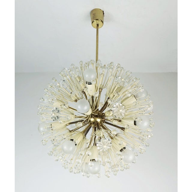 1950s Mid-Century Dandelion Chandelier in Brass and Glass, 1950s For Sale - Image 5 of 11