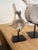 2010s Vintage Whale Vertebrae Bones, Set of Three. For Sale - Image 5 of 8