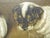 Antique English Painting of Jack Russell Puppies at Play For Sale - Image 12 of 16