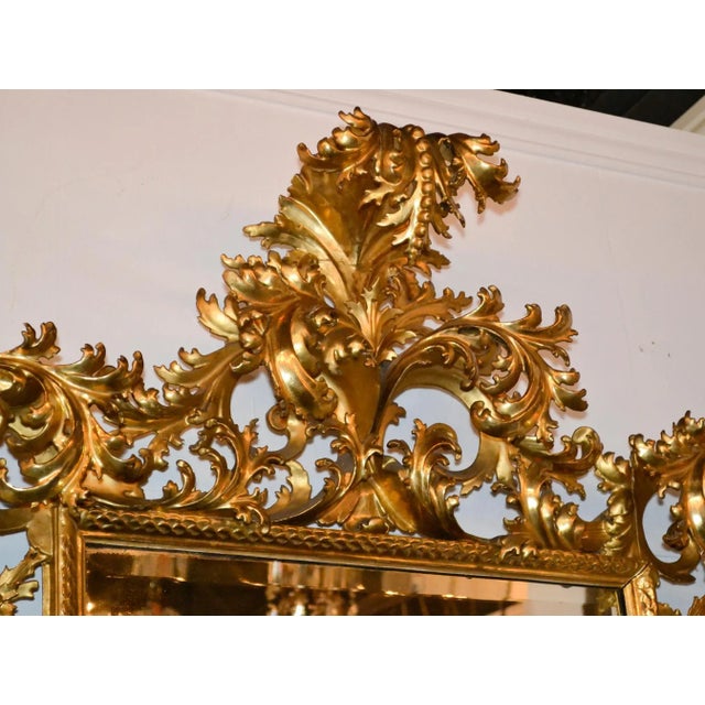 Fabulous 19th century Italian Florentine carved wood and water gilt gold mirror. circa 1850