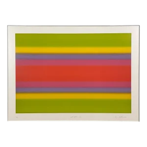 Barry Nelson - ‘Paralax Vi’ Aquatint Etching, Signed (1981, Framed)