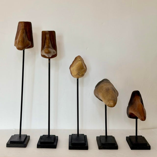 Contemporary Sculptural Mounted Cast Resin Anatomical Noses on Stands - Set of 5 For Sale - Image 3 of 7