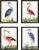 Contemporary Bird Reproduction Prints After Eleazar Albin, Framed - Set of 4 (#1) For Sale