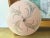 1950s Pink Leaf Sprays Ceiling Light For Sale - Image 6 of 18
