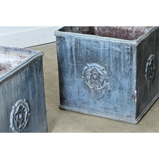 Pair of English 19th Century Solid Lead Box Planters For Sale - Image 9 of 12