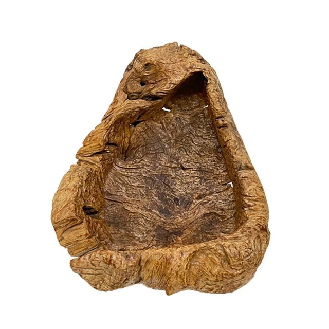 Gigantic Large Burl Wood Organically Shaped and Hand Carved Bowl For Sale - Image 3 of 8