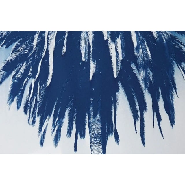 Blue "Marrakesh Majorelle Palm", Cyanotype on Watercolor Paper, 100x70cm, Tropical Art 2020, Limited Edition For Sale - Image 8 of 9