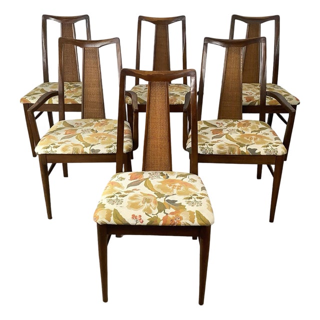 Set of 6 Sculptural Mid-Century Cane-Back Dining Chairs, Walnut For Sale