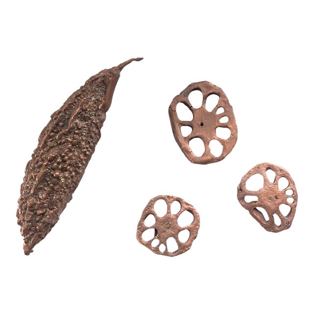 Contemporary Bronze Sculpture Loufa Pods For Sale