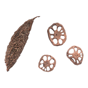Contemporary Bronze Sculpture Loufa Pods