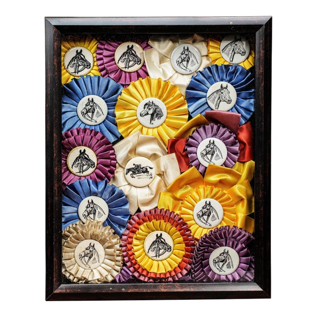Unique Horse Show Ribbon Trophy Collage Vintage Country Home Wall Decor For Sale