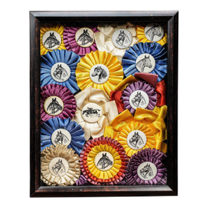 Unique Horse Show Ribbon Trophy Collage Vintage Country Home Wall Decor