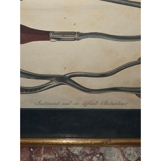 Interesting early 19th century hand colored engraving of surgical tools for use in difficult births. This has a green mat...