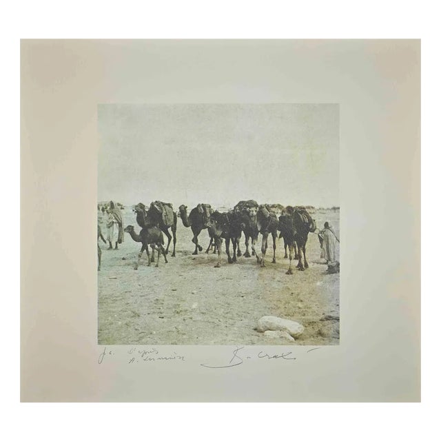 Bettino Craxi, Tunisian Camels, Original Photolithograph, 1990s For Sale