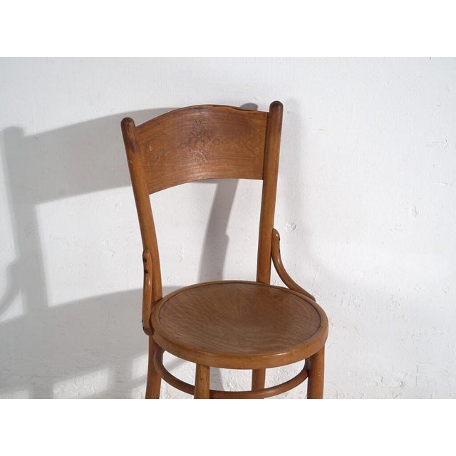 Antique Dining Chairs from Ton, Set of 8 For Sale - Image 4 of 18