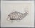 Minimalism 1970s "Fish" Etching by Rita Simon (Atirnomis) For Sale - Image 3 of 3