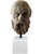 Concrete Head of the Philosopher Socrates from the Herm of Villa Alban 20th Century For Sale - Image 4 of 6