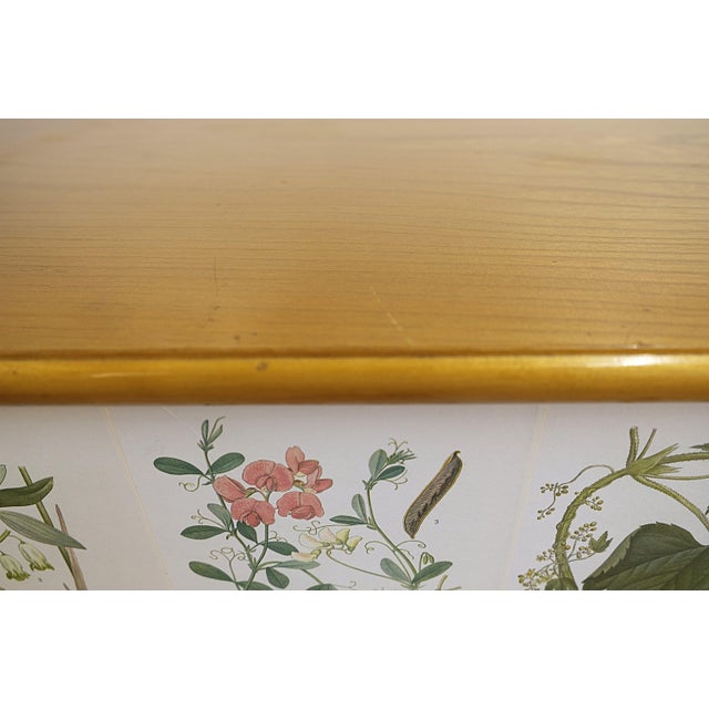 Vintage Swedish Cabinet by Cam Lindman for Nordens Flora, 1940s For Sale - Image 9 of 11